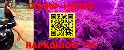 Альфа ПВП Краснознаменск