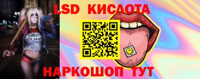 Альфа ПВП Краснознаменск