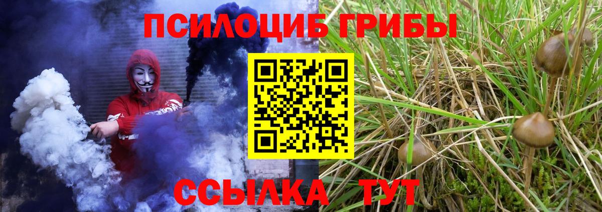 Галлюциногенные грибы Cubensis Качканар